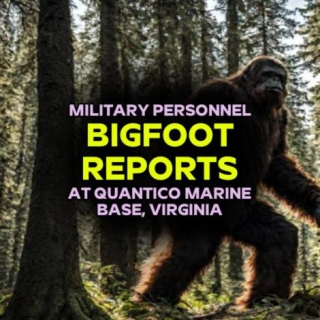 Military Personnel BIGFOOT REPORTS At Quantico Marine Base, Virginia