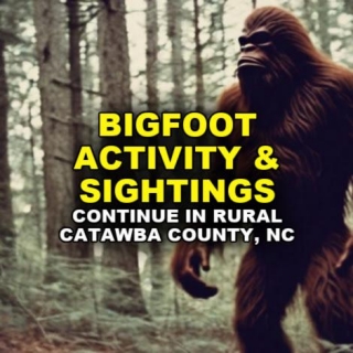 BIGFOOT ACTIVITY & SIGHTINGS Constantly Reported In Rural Catawba County, NC