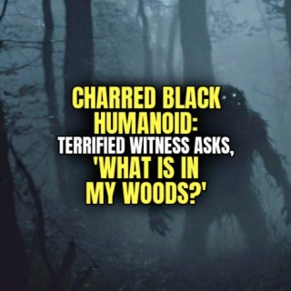 CHARRED BLACK HUMANOID: Terrified Witness Asks, 'WHAT IS IN MY WOODS?'