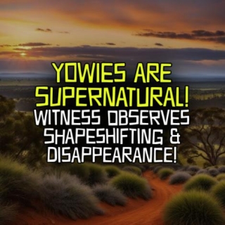 YOWIES ARE SUPERNATURAL! Witness Observes Shapeshifting & Disappearance!