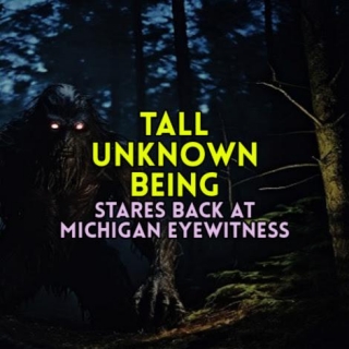 TALL UNKNOWN BEING Stares Back At Michigan Eyewitness