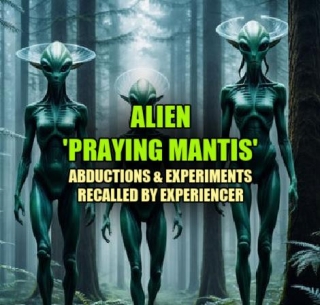 ALIEN 'PRAYING MANTIS' Abductions & Experiments Recalled By Experiencer