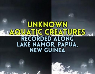UNKNOWN AQUATIC CREATURES Recorded Along Lake Namor, Papua New Guinea (VIDEO/IMAGES)