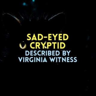 SAD-EYED CRYPTID Described By Virginia Witness