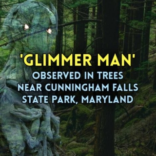 'GLIMMER MAN' Observed In Trees Near Cunningham Falls State Park, Maryland