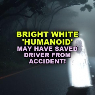 BRIGHT WHITE 'HUMANOID' May Have Saved Driver From Accident!