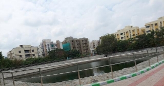 Jeyachandran Nagar Lake (Water Bodies Of Chennai - 73)