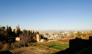 Jardines Del Generalife  (Granada)