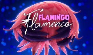 ALL IS PINK IN FLAMINGO FLAMENCO FIRST ANIMATED MOVIE ADVENTURE IMAGES FROM THE LAGOONS OF ANDALUCIA