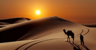 Sun Desert With Camel And People