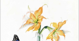 In Search Of MRS., Women & The Radical Art Of Science And Botanical Illustrations At Arader Galleries In NYC