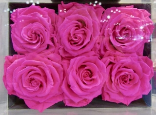 Pink Thing Of The Day: Pink Eternal Roses In A Box