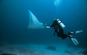 Snorkeling with Manta Rays in Bali: Unlock Your Unforgettable Breathtaking Experience