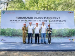 Yayasan AHM Dan MPM Honda Jatim Tanam 20.000 Mangrove Di Banyuwangi Untuk Peringati Hari Lingkungan Hidup Sedunia
