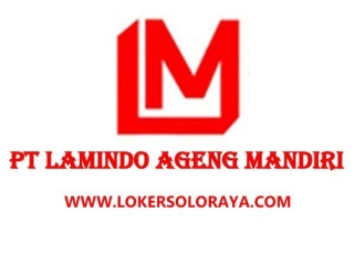 Loker Packing, Staff Digital Marketing PT Lamindo Ageng Mandiri Sukoharjo