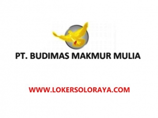 Loker Solo Di PT Budimas Makmur Mulia Kepala Depo, Sales SPV, Dll