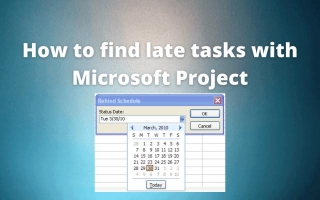 Microsoft Project Tutorial: Finding Late Tasks With Microsoft Project Custom Filters