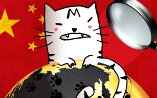 cat v china