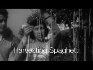 Happy Spaghetti Day
