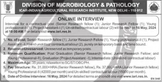 Division Of Microbiology And Pathology Jobs 2024 | 06 Research, Assistant, Labour Vacancies