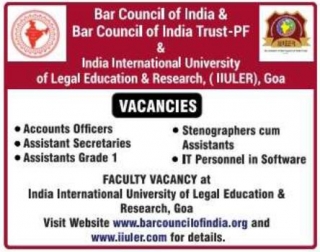 Bar Council Of India Recruitment 2024 Apply For 18 Assistant, Officer, IT, Steno Vacancies