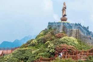Azalea In Fansipan Peak: A Stunning Natural Canvas In Northwest Vietnam