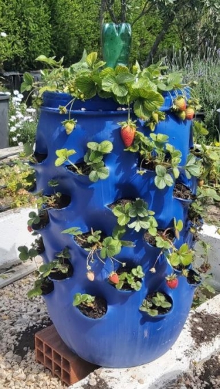 How To Make A Vertical Strawberry Planter