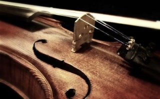 The Importance Of Violin Strings In Musical Narrative