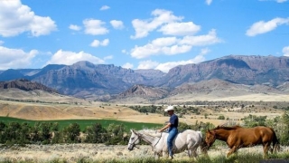 Montana: Where Horse Racing And Adventure Converge