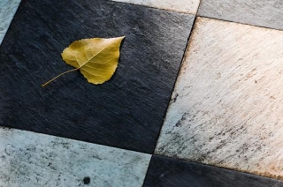 How To Choose The Perfect Tiles For Your Family Home