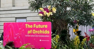 The Future Of Orchids