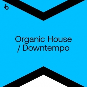 Best New Hype Organic House May 2024