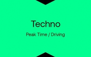 Beatport Techno (Peak Time / Driving) Top 100 June 2024
