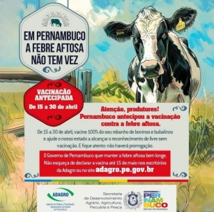 Pernambuco Antecipa Campanha De Vacinação Contra Febre Aftosa