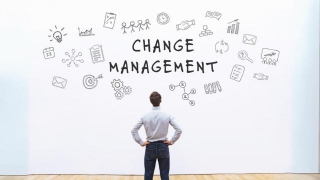 How Experts In Change Management Lead A Successful Digital Transformation