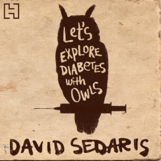Review: Let's Explore Diabetes With Owls By David Sedaris
