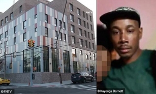 2024 Dog Bite Fatality: Pit Bull Kills Male Owner In Bronx Apartment Building; Cops Fatally Shoot Dog