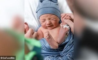2024 Dog Bite Fatality: Newborn Dies After Being 'Bit By A Dog' And 'Head Injury' In Milford, Connecticut