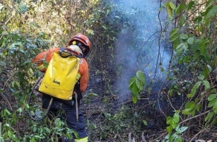 Com Incêndios Florestais Ativos, Bombeiros Militares De MS Atuam Para Controlar Chamas Em Diferentes áreas Do Pantanal