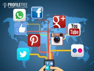 Social Media Industry: Statistics 2020-2024