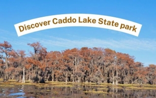 A Quick Guide to visit Caddo Lake State Park in East Texas