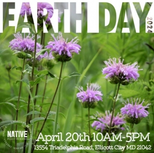 Freebies And Fun: Come Celebrate Earth Day With Lauren At The Native Plant Nursery And Cultivate Garden & Goods
