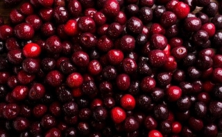 5 Surprising Benefits Of Black Cherry Supplement