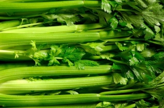 Celebrating National Celery Month