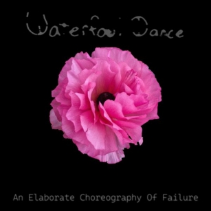 Waterfowl Dance – ‘An Elaborate Choreography Of Failure’