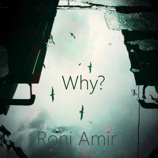 Roni Amir – “Why?”