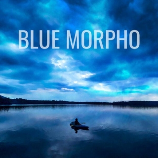 Katmaz – “Blue Morpho”