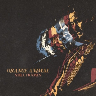Orange Animal – “Clear”