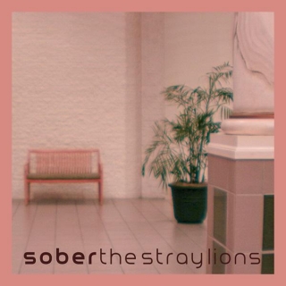 The Stray Lions – “Sober”