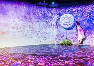 Seiji Kawajiri Showcases DANDELION At NAKED FLOWERS In Hong Kong